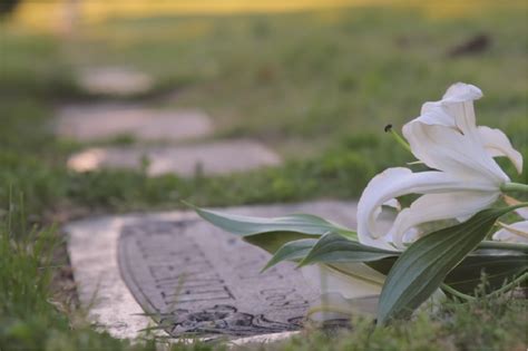 火化撿骨禁忌|了解火化過程、費用、禁忌，陪伴他走過最後一哩路